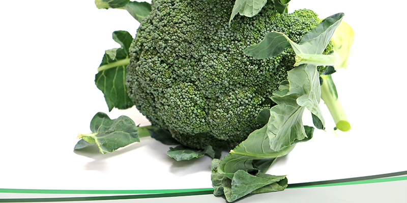 Lechner Broccoli