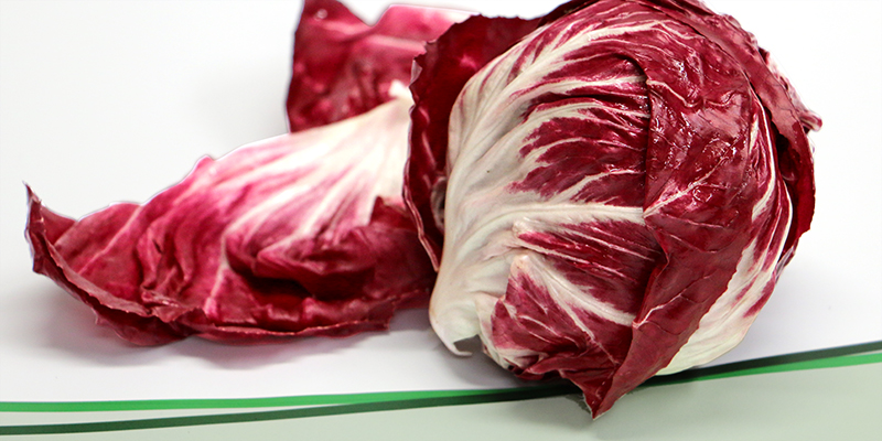 Lechner Radicchio