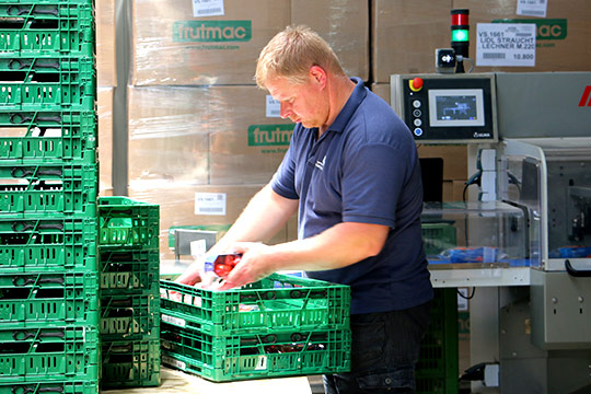 Weiterverarbeitung Tomaten